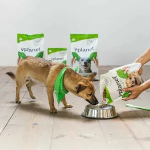 Adult Vegan Dog Dry Food