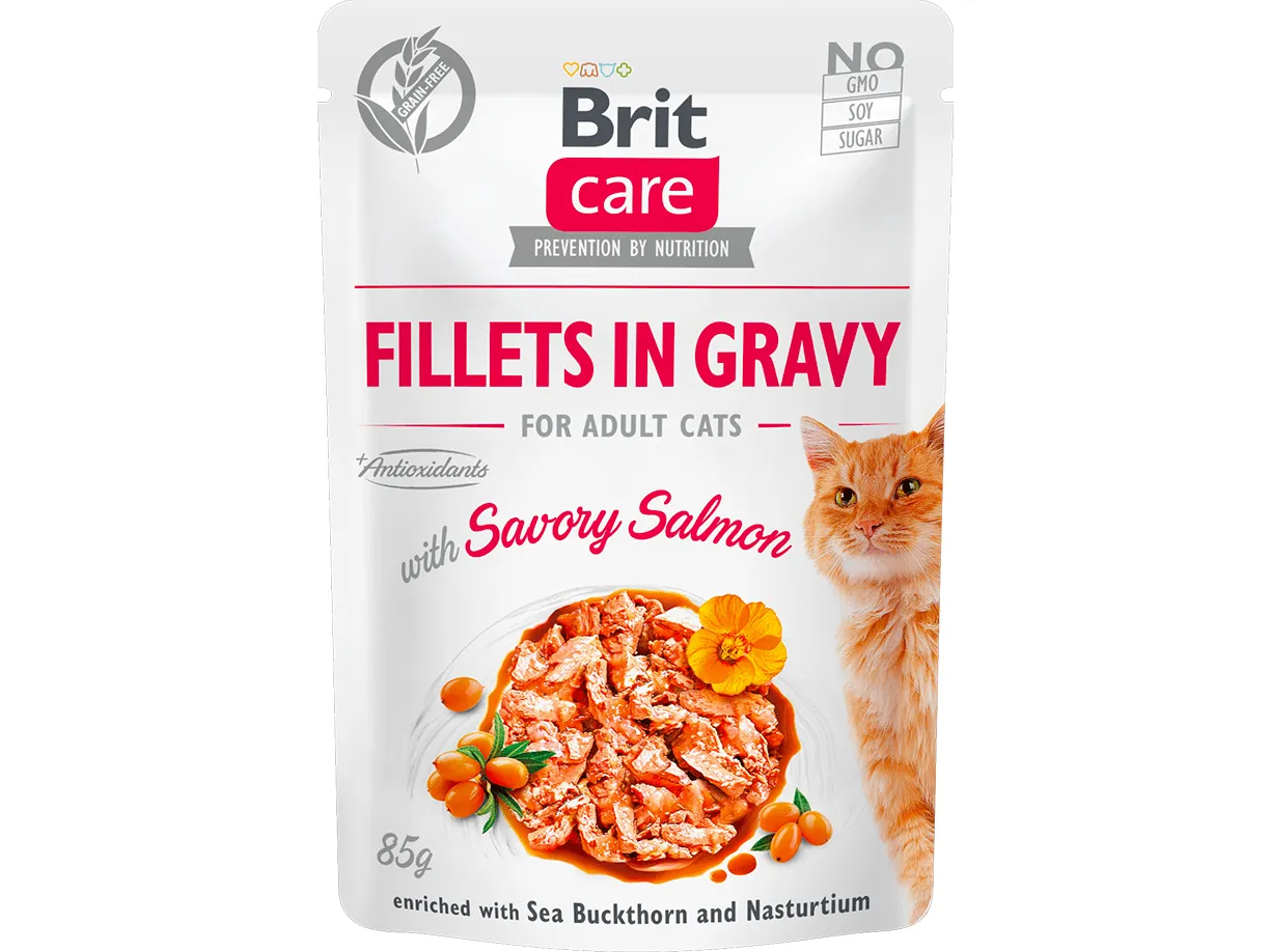 Brit Care Cat Fillets in Gravy with Savory Salmon 24x85g