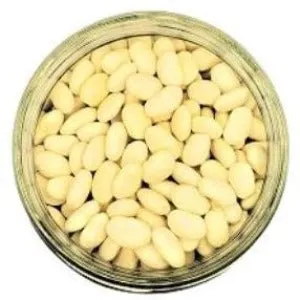 Cannellini Beans Organic