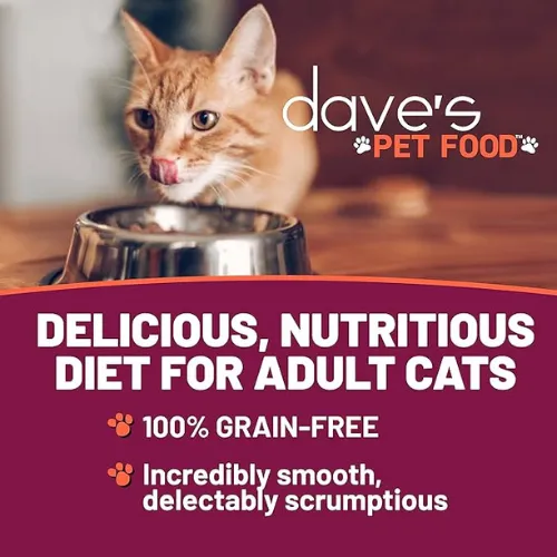 Dave's Pet Food Naturally Healthy Grain-Free Shredded Salmon Dinner in Gravy Canned Cat Food, 5.5-oz