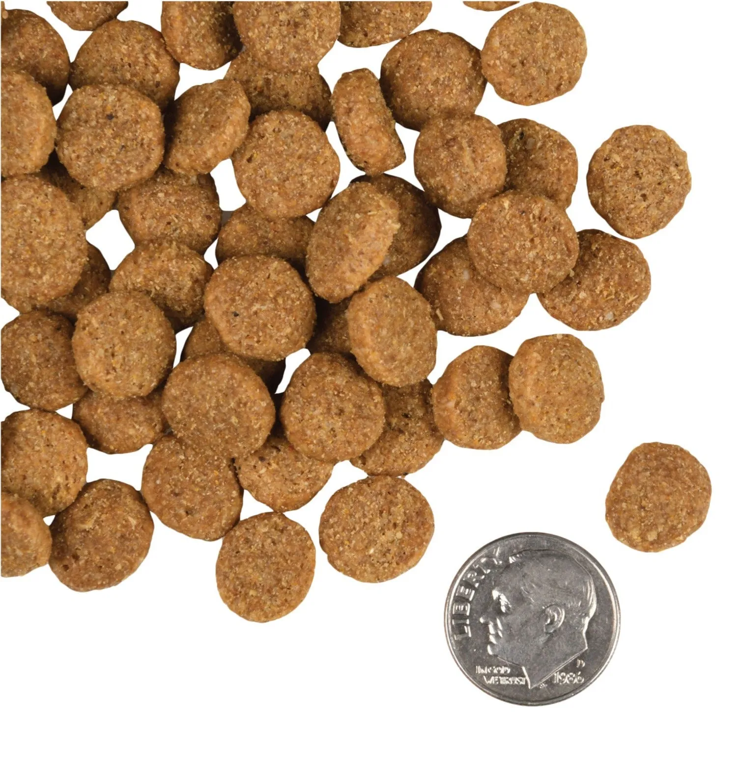 Fromm Large Breed Adult Gold Dry Dog Food