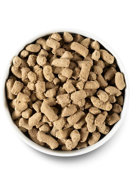 Grass-Fed Beef Freeze Dried Raw Dog Food