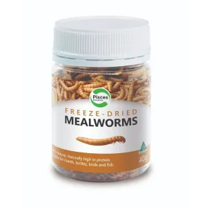 Pisces Freeze Dried Mealworms for Reptiles 40g